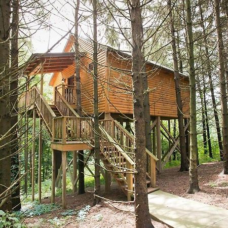 Whispering Pines Treehouse By Amish Country Lodging ミラーズバーグ エクステリア 写真