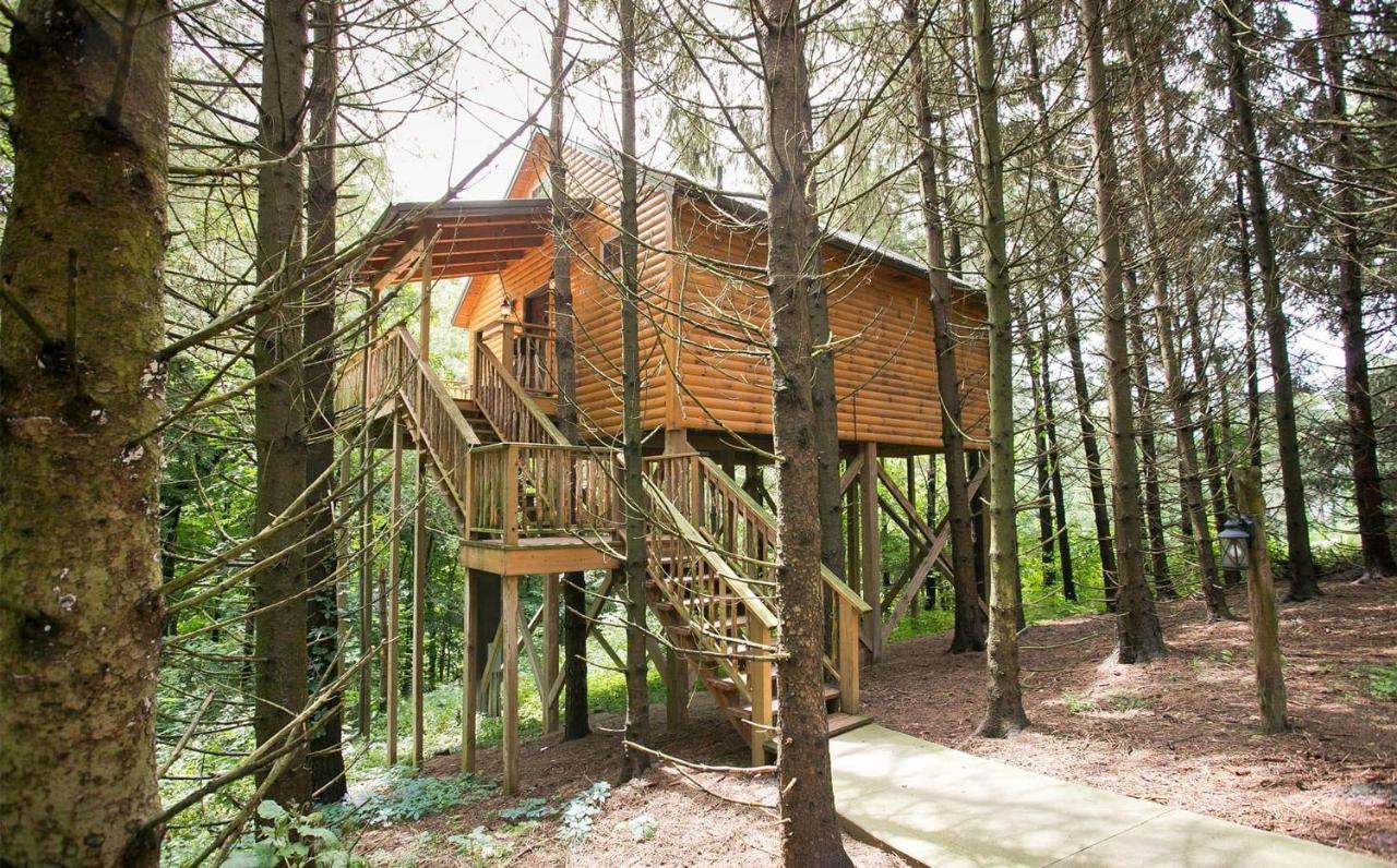 Whispering Pines Treehouse By Amish Country Lodging ミラーズバーグ エクステリア 写真
