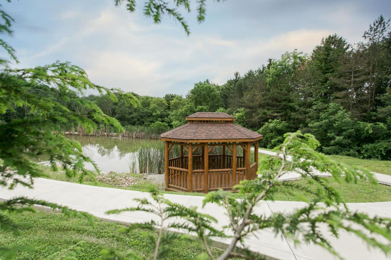 Whispering Pines Treehouse By Amish Country Lodging ミラーズバーグ エクステリア 写真